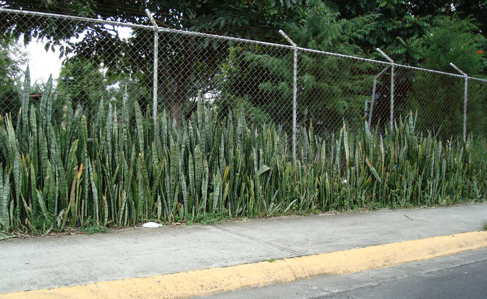 San Jos&eacute; okt 2007