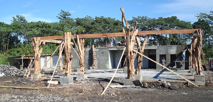 Arinal okt 2007