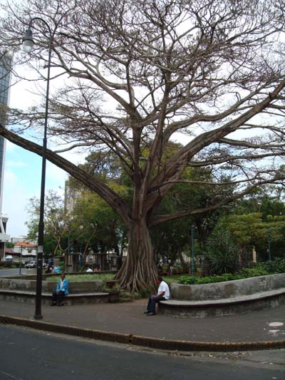 San Jos&eacute; jan 2009