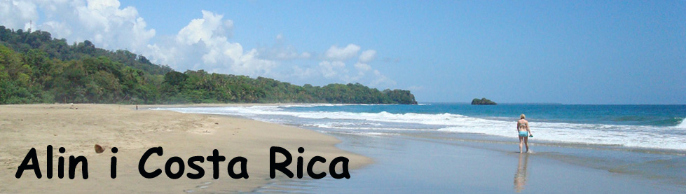 Puerto Viejo - 2008