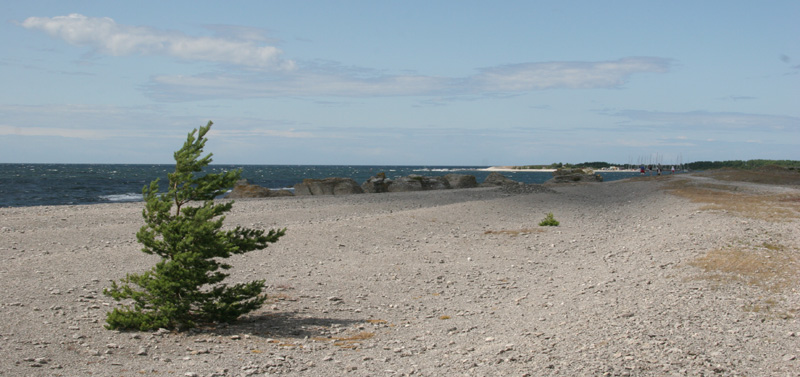 juli 2009